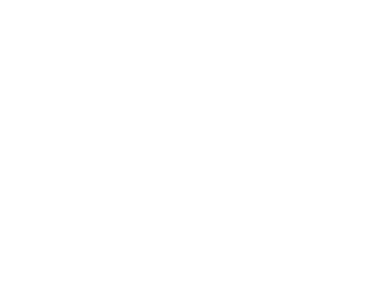 Guadalupe, Gobierno Municipal